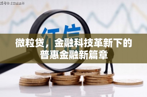 南宫微粒贷，金融科技革新下的普惠金融新篇章