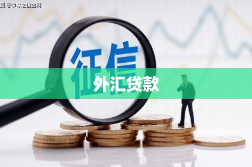 南宫外汇贷款