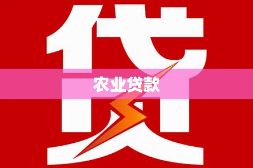 南宫农业贷款