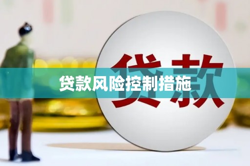南宫贷款风险控制措施