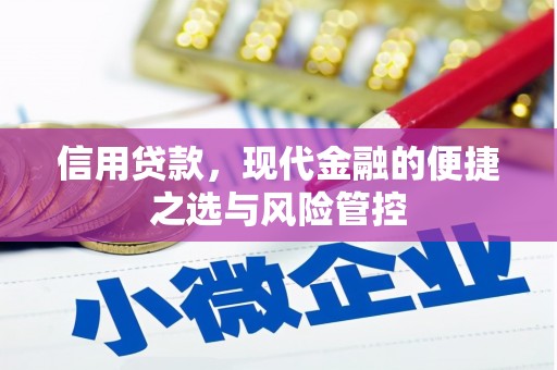 南宫信用贷款，现代金融的便捷之选与风险管控