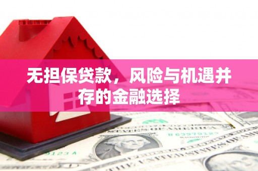 南宫无担保贷款，风险与机遇并存的金融选择