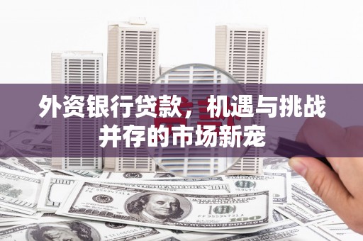 南宫外资银行贷款，机遇与挑战并存的市场新宠