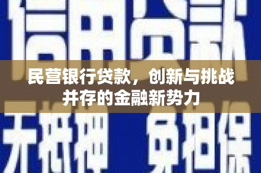 南宫民营银行贷款，创新与挑战并存的金融新势力