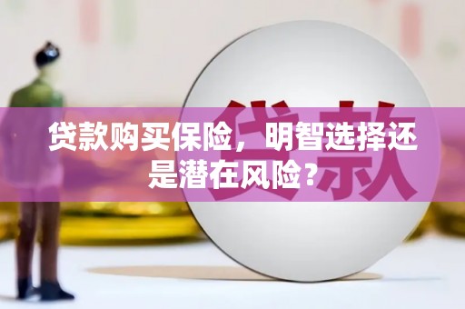 南宫贷款购买保险，明智选择还是潜在风险？