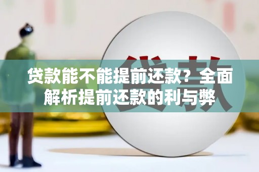 南宫贷款能不能提前还款？全面解析提前还款的利与弊