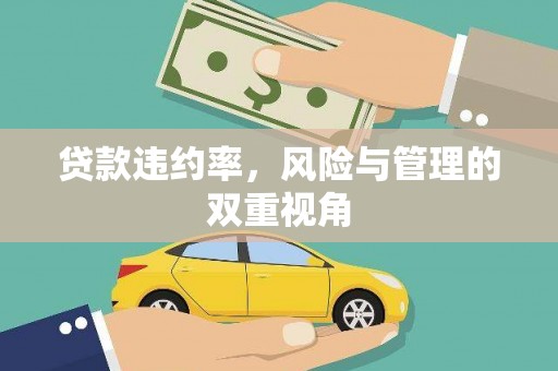 南宫贷款违约率，风险与管理的双重视角