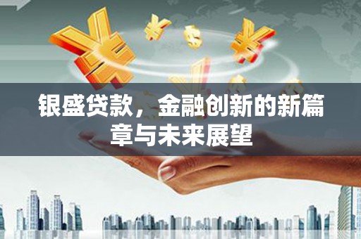 南宫银盛贷款，金融创新的新篇章与未来展望