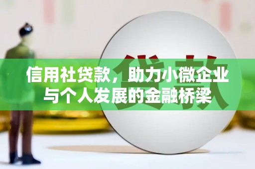 南宫信用社贷款，助力小微企业与个人发展的金融桥梁