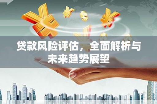 南宫贷款风险评估，全面解析与未来趋势展望