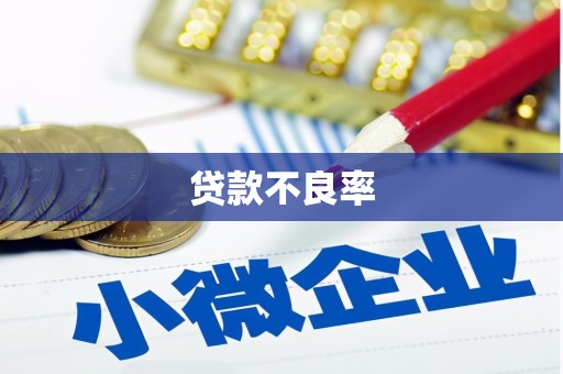 南宫贷款不良率