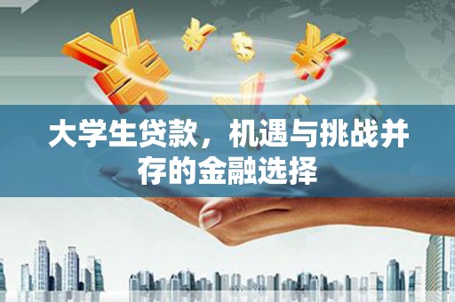 南宫大学生贷款，机遇与挑战并存的金融选择