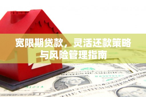 南宫宽限期贷款，灵活还款策略与风险管理指南
