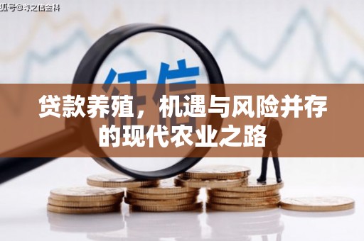 南宫贷款养殖，机遇与风险并存的现代农业之路