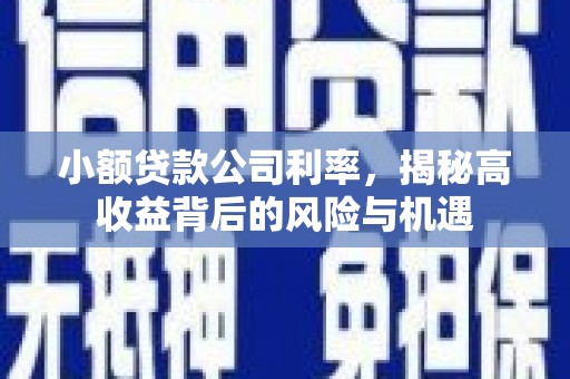 南宫小额贷款公司利率，揭秘高收益背后的风险与机遇