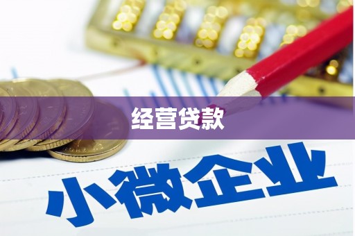 南宫经营贷款