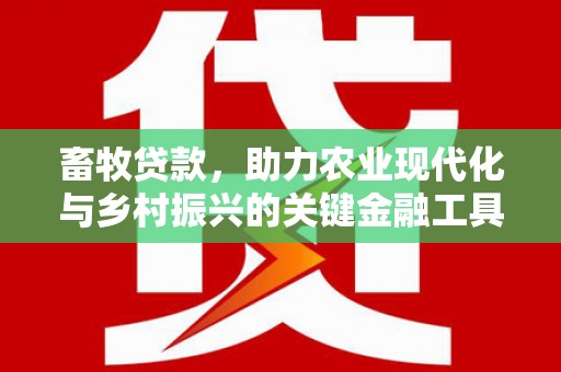 南宫畜牧贷款，助力农业现代化与乡村振兴的关键金融工具