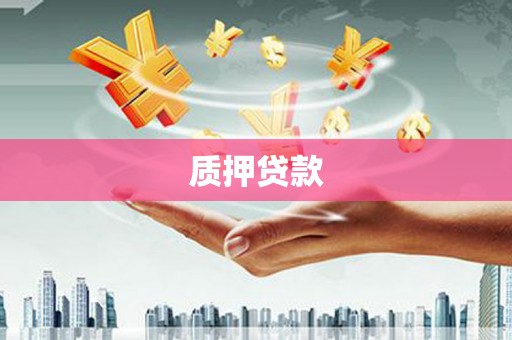 南宫质押贷款