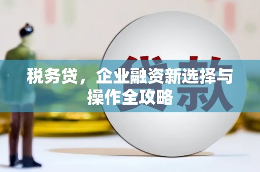 南宫税务贷，企业融资新选择与操作全攻略