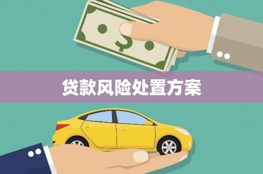 南宫贷款风险处置方案