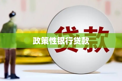 南宫政策性银行贷款