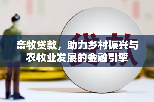 南宫畜牧贷款，助力乡村振兴与农牧业发展的金融引擎