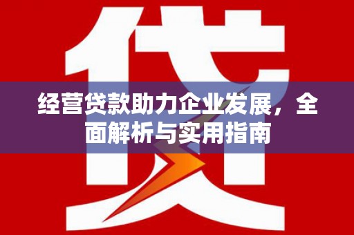 南宫经营贷款助力企业发展，全面解析与实用指南
