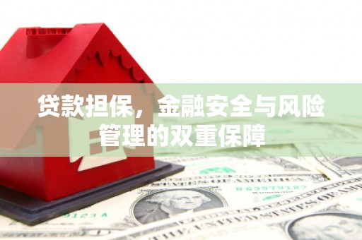 南宫贷款担保，金融安全与风险管理的双重保障