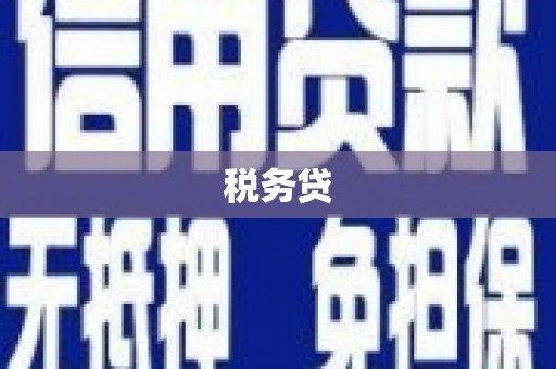 南宫税务贷