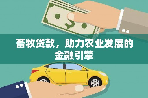 南宫畜牧贷款，助力农业发展的金融引擎