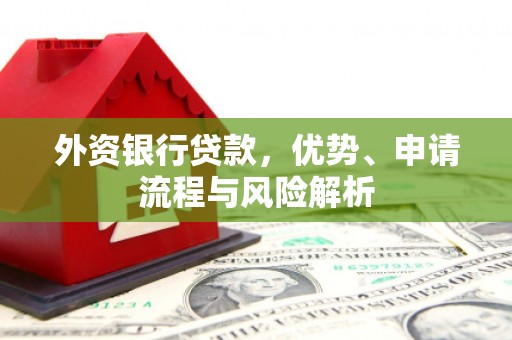 南宫外资银行贷款，优势、申请流程与风险解析