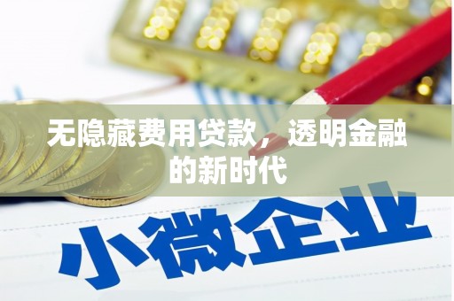 南宫无隐藏费用贷款，透明金融的新时代