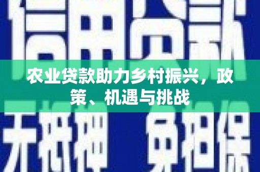 南宫农业贷款助力乡村振兴，政策、机遇与挑战