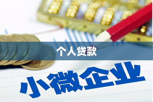 南宫个人贷款