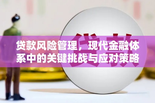 南宫贷款风险管理，现代金融体系中的关键挑战与应对策略