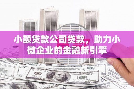 南宫小额贷款公司贷款，助力小微企业的金融新引擎