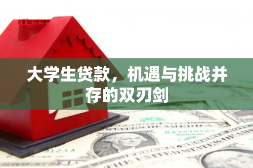 南宫大学生贷款，机遇与挑战并存的双刃剑