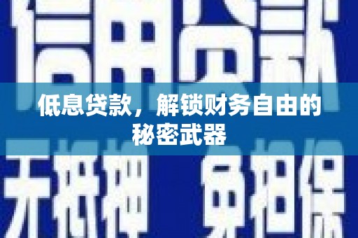 南宫低息贷款，解锁财务自由的秘密武器