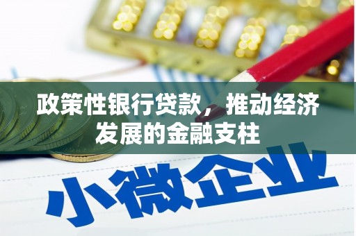 南宫政策性银行贷款，推动经济发展的金融支柱