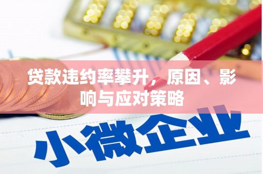 南宫贷款违约率攀升，原因、影响与应对策略