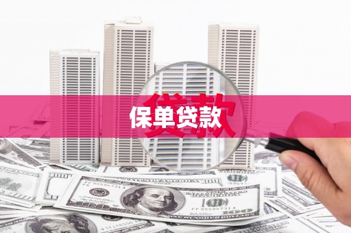 南宫保单贷款