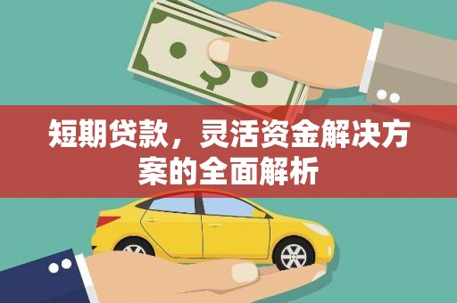 南宫短期贷款，灵活资金解决方案的全面解析