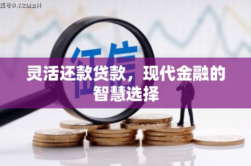 南宫灵活还款贷款，现代金融的智慧选择