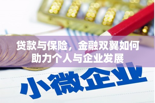 南宫贷款与保险，金融双翼如何助力个人与企业发展