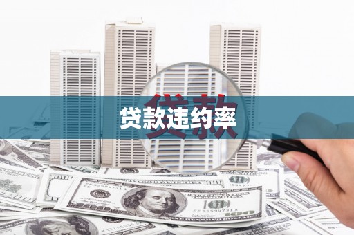 南宫贷款违约率