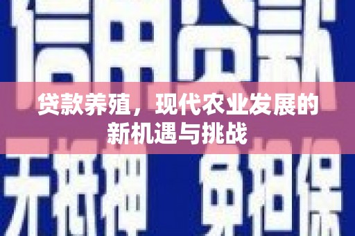 南宫贷款养殖，现代农业发展的新机遇与挑战
