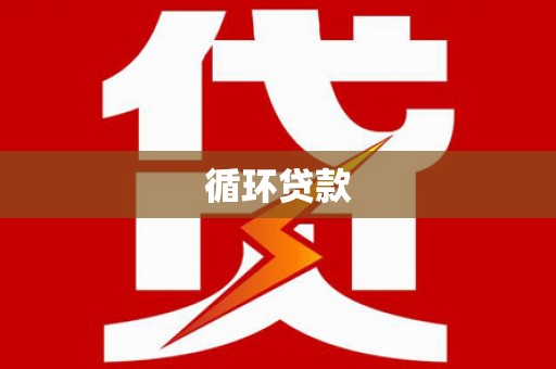 南宫循环贷款