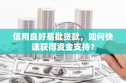 南宫信用良好易批贷款，如何快速获得资金支持？