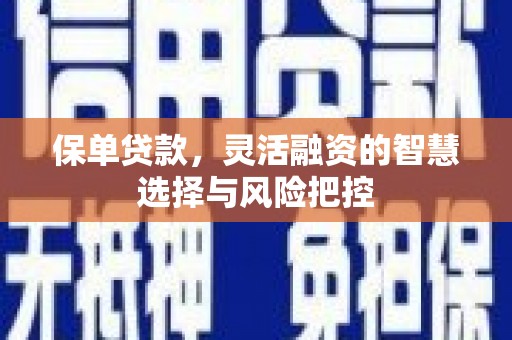 南宫保单贷款，灵活融资的智慧选择与风险把控