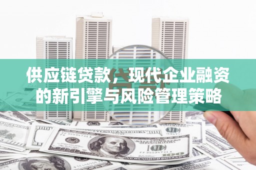 南宫供应链贷款，现代企业融资的新引擎与风险管理策略